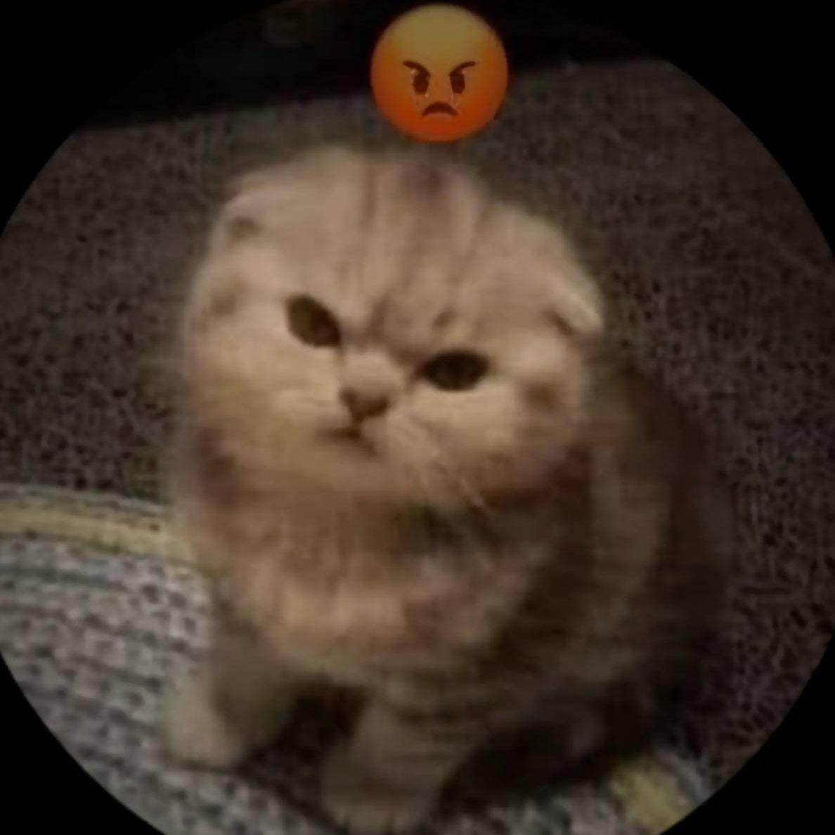 sensofhuman avatar