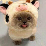 M3tam0rph-