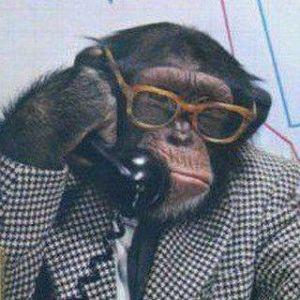 Tork_er avatar