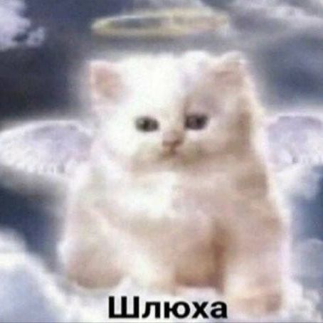 Raysana