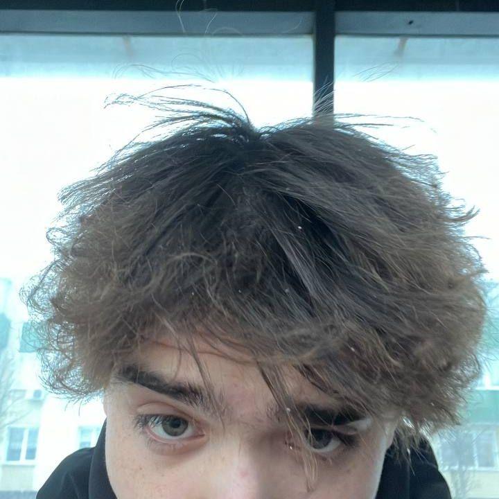dangerDenis3 avatar