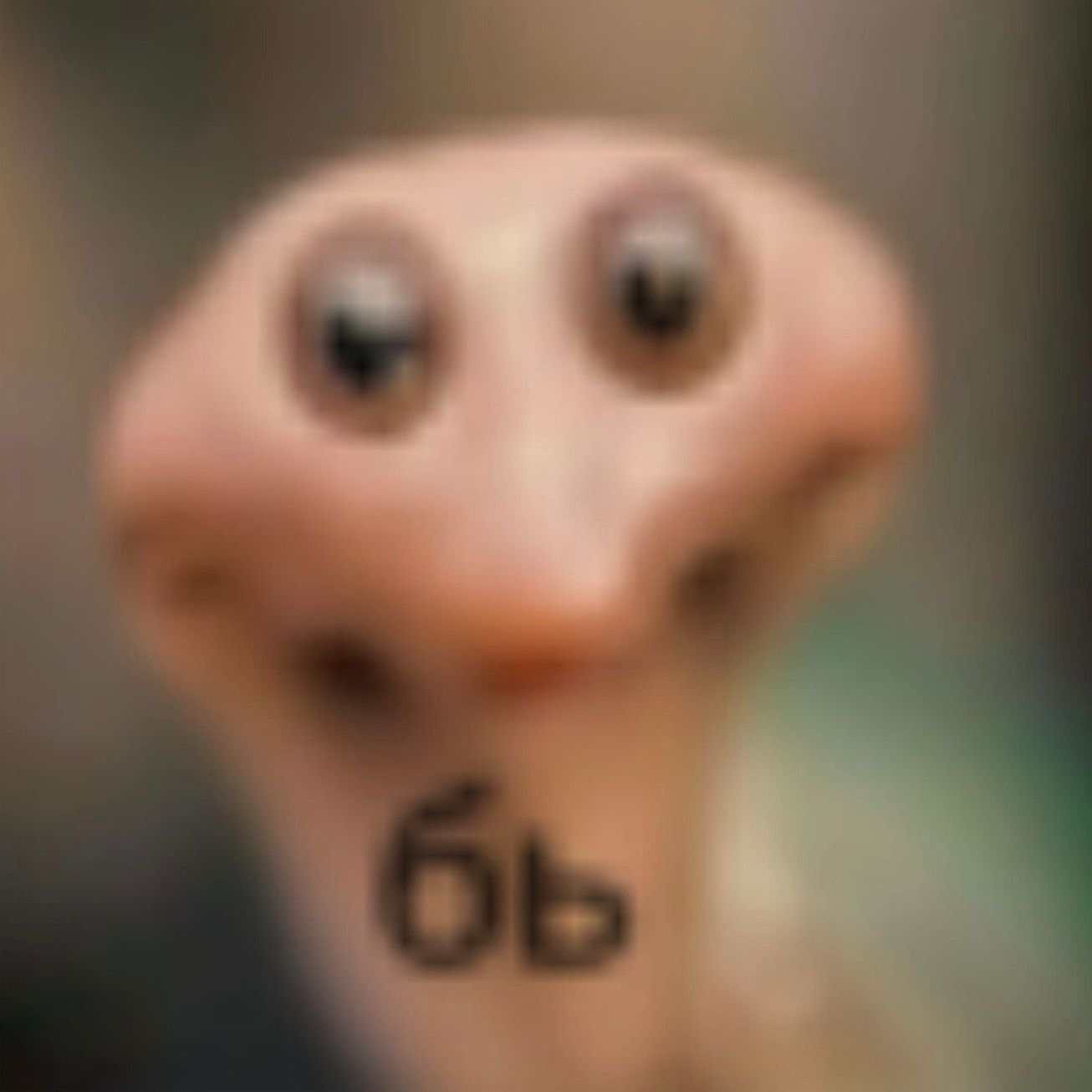 kohyn