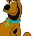 KrummerApfel avatar