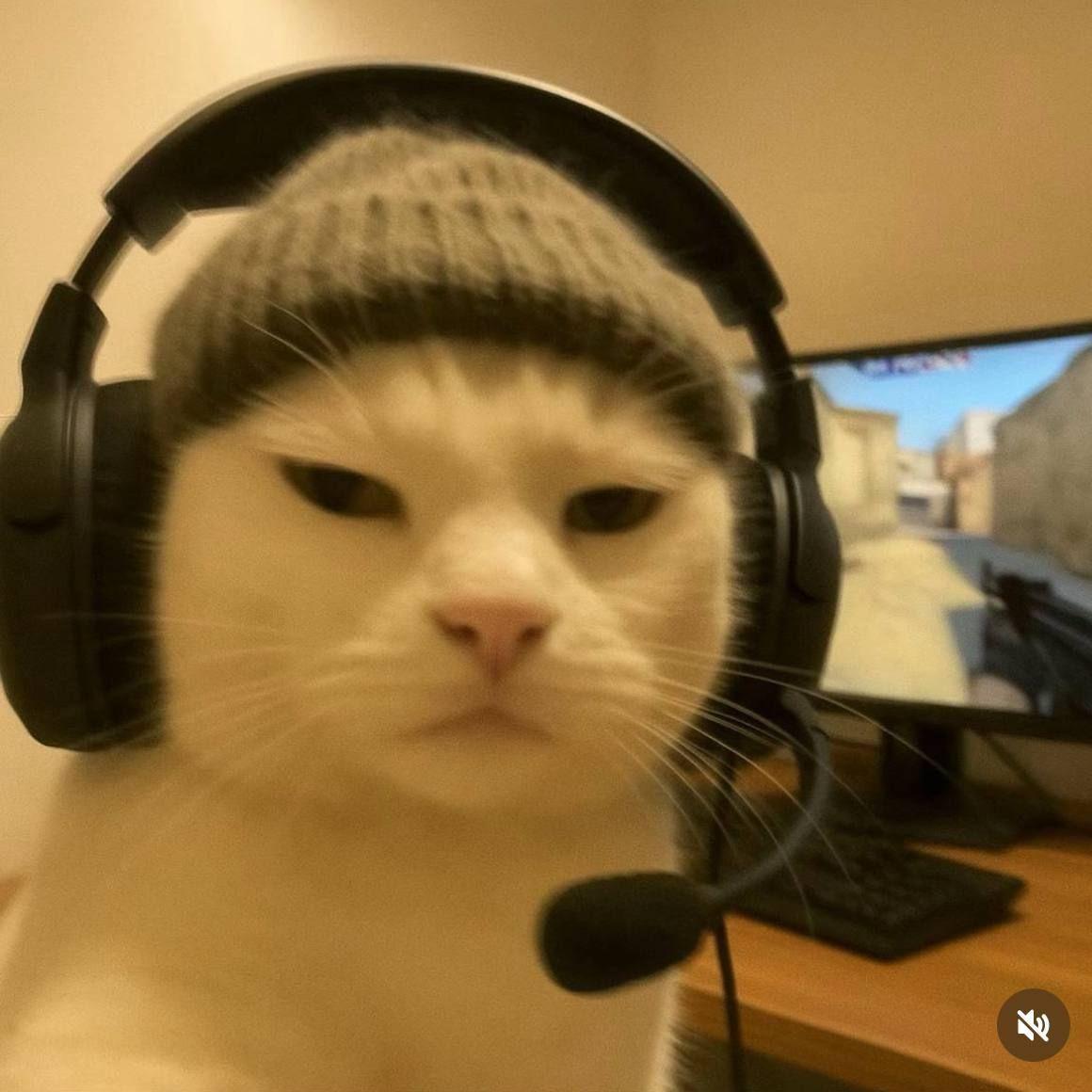 Zmey77 avatar