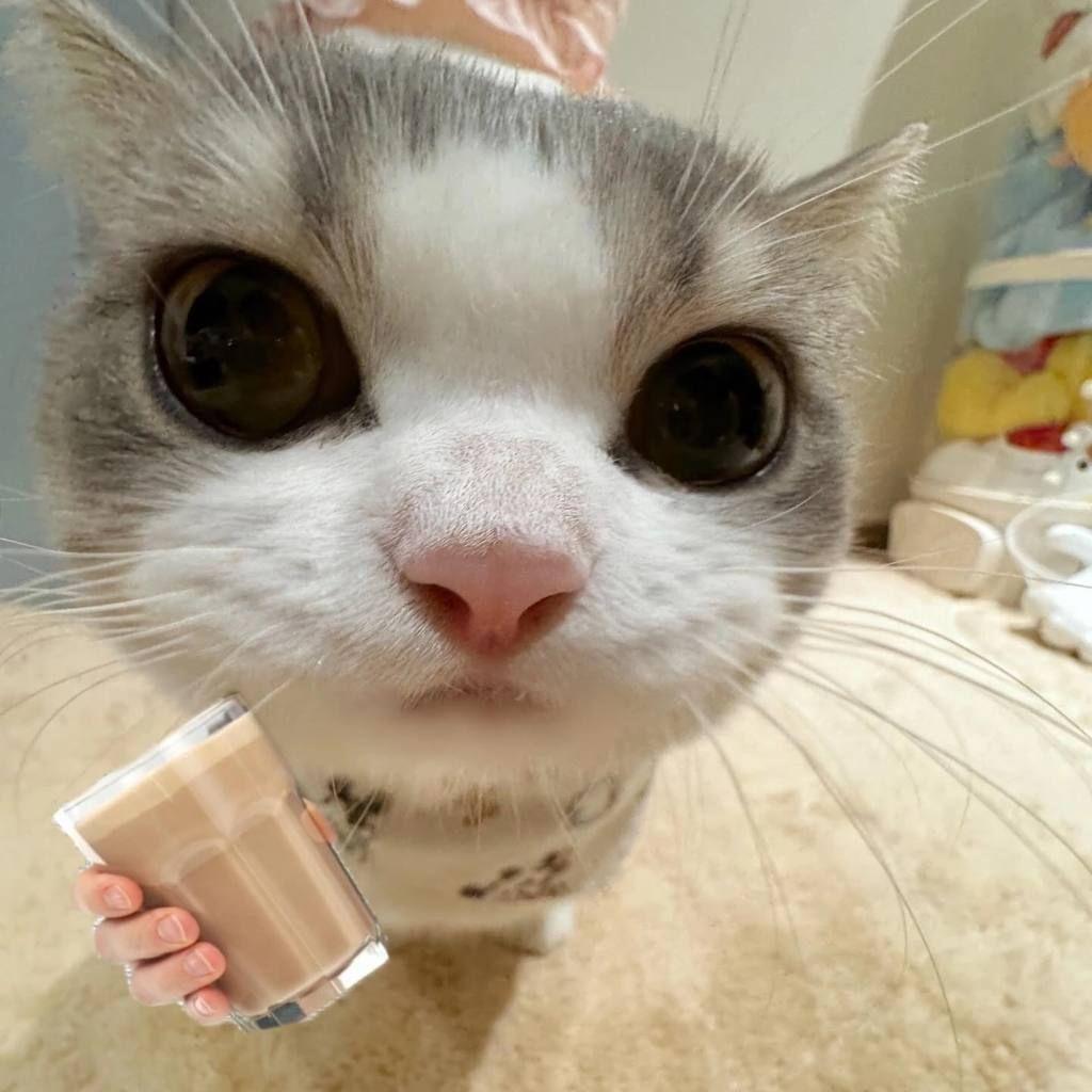 c0ldY__ avatar