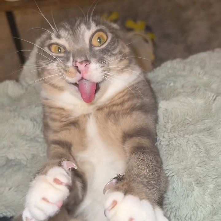 -Ze0n-