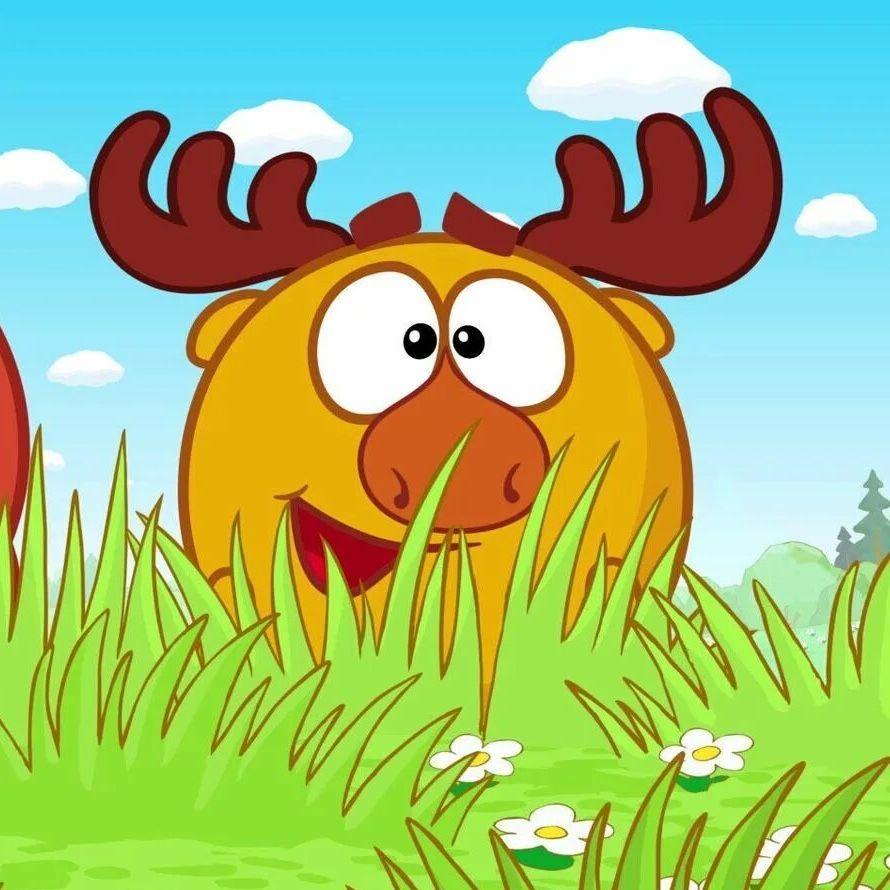 bukhmeshka avatar