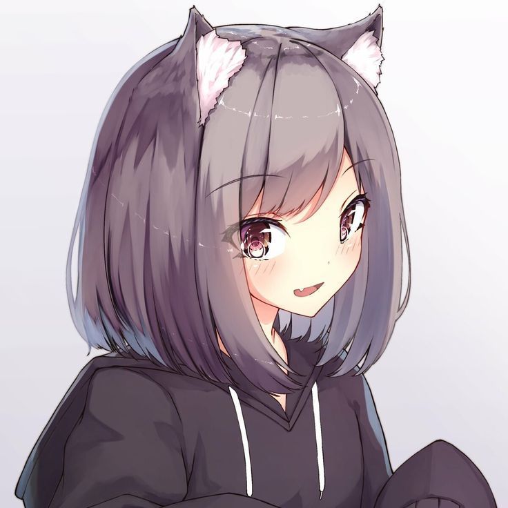 c011ect0rr