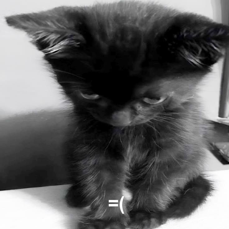 -ne_v_f0rme