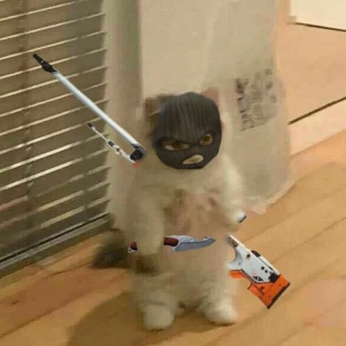 sneakynin