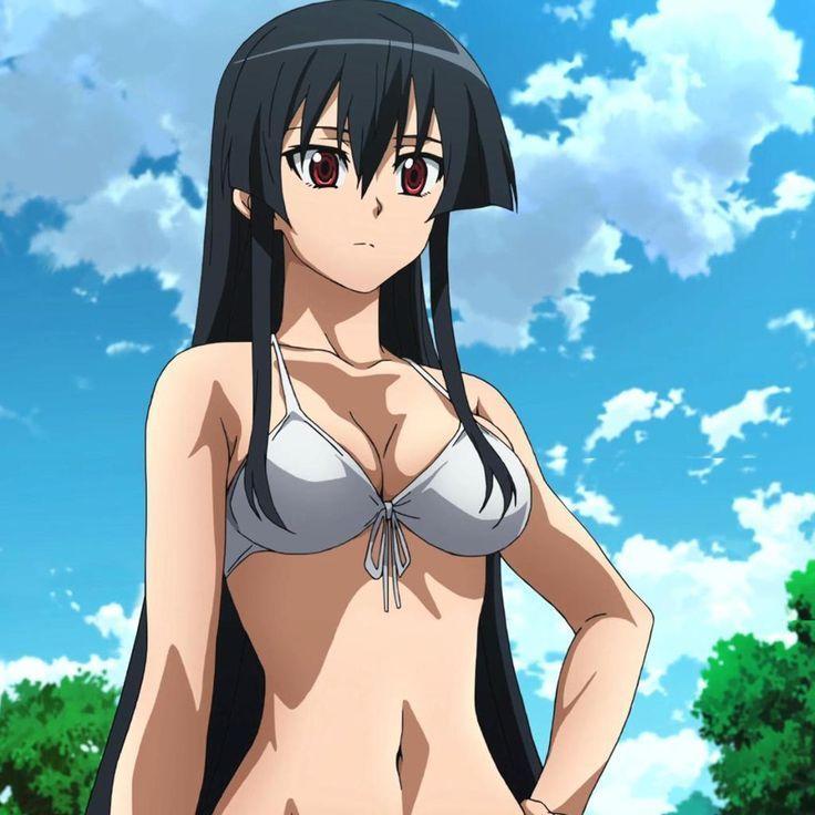 mistral13 avatar