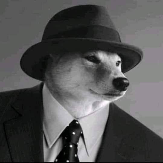 pushio666 avatar