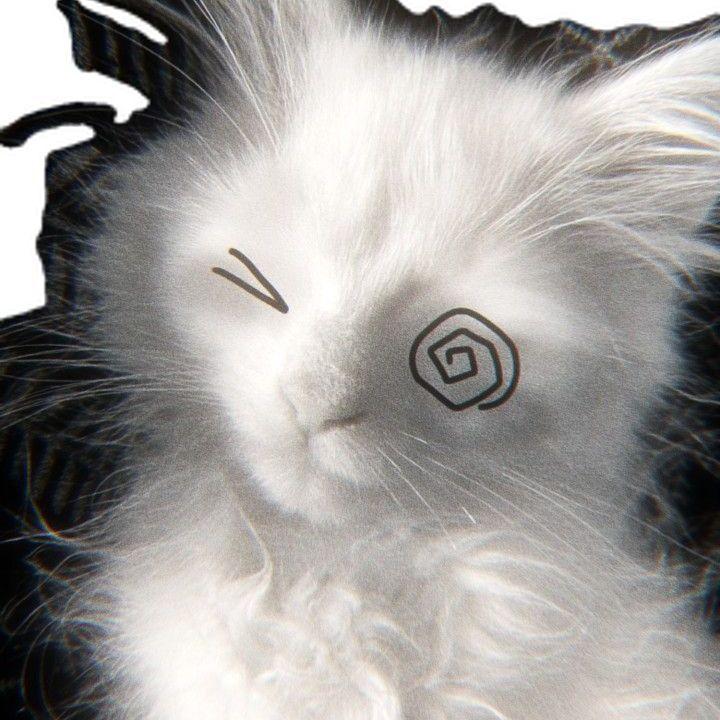 ravionisay avatar