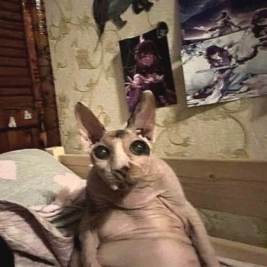 sxpernova