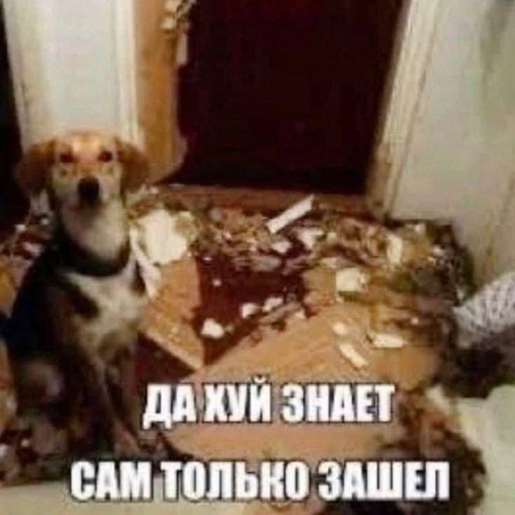 tefr