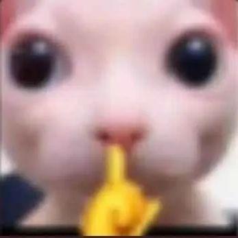 ManMadeRush