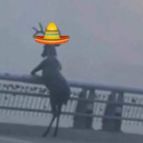 ausagante