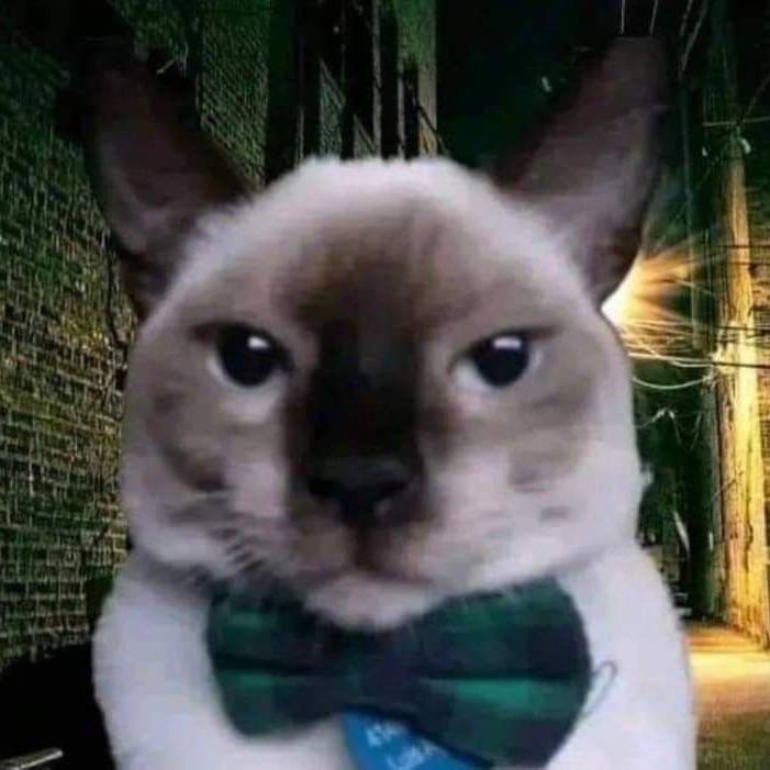 Vanjolaa avatar