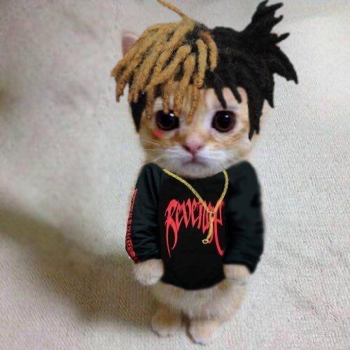 MakenZo5 avatar