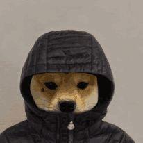 russiahater avatar