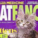 katfancy avatar