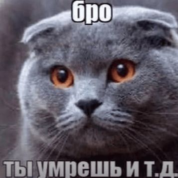 dimassik_sss