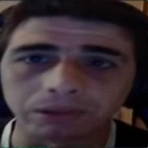NiP_f0resttt
