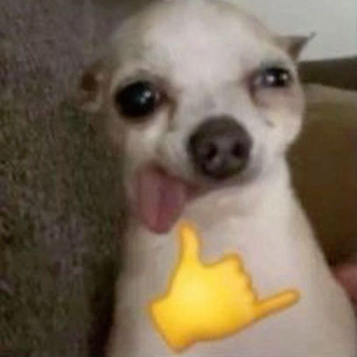 AceaSturchy