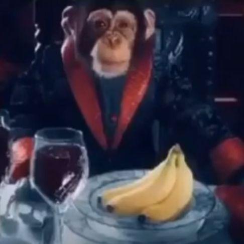 ZeeZhade avatar