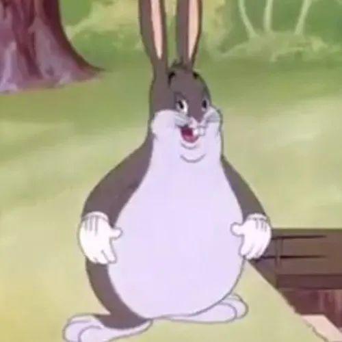 MuscaKing avatar
