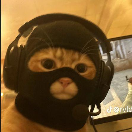 LamasterGG avatar