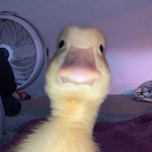 JaviXu99