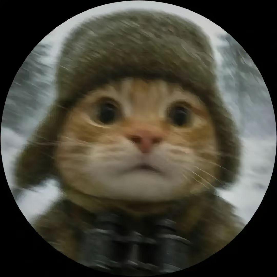 Faceit avatar