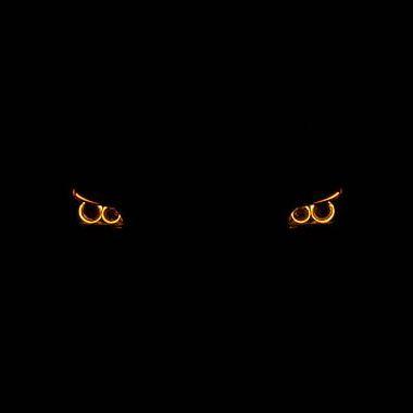 h0s7ile avatar