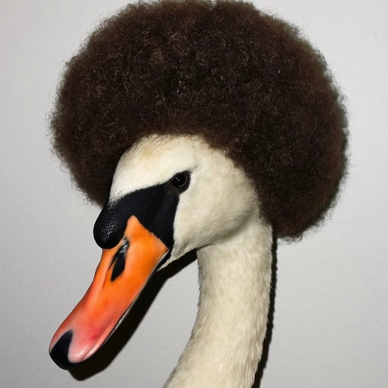 gomunkuL_ FACEIT avatar