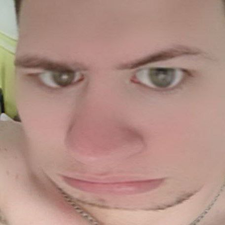 Donkey_z
