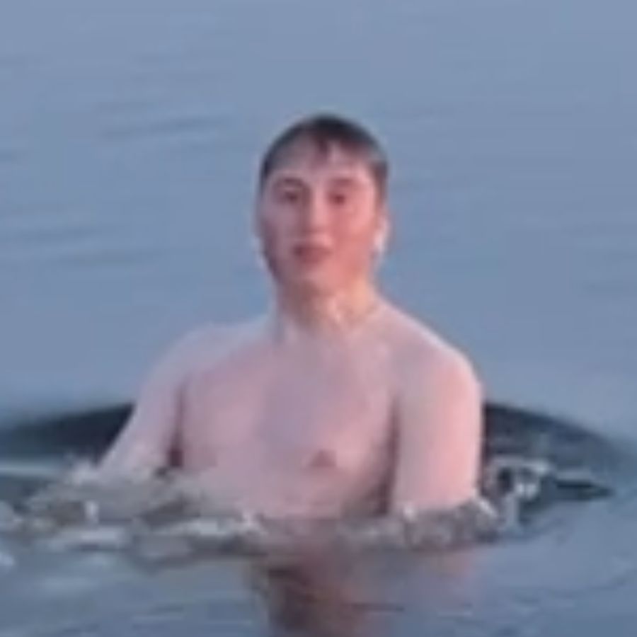 Nevister