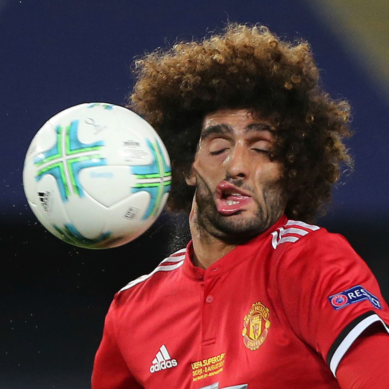 FELLAINl