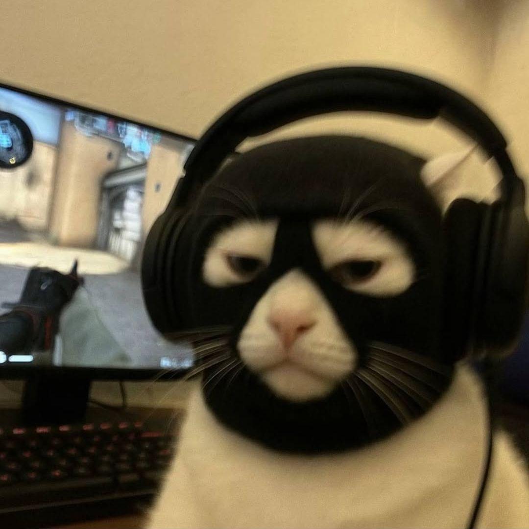 8339 avatar