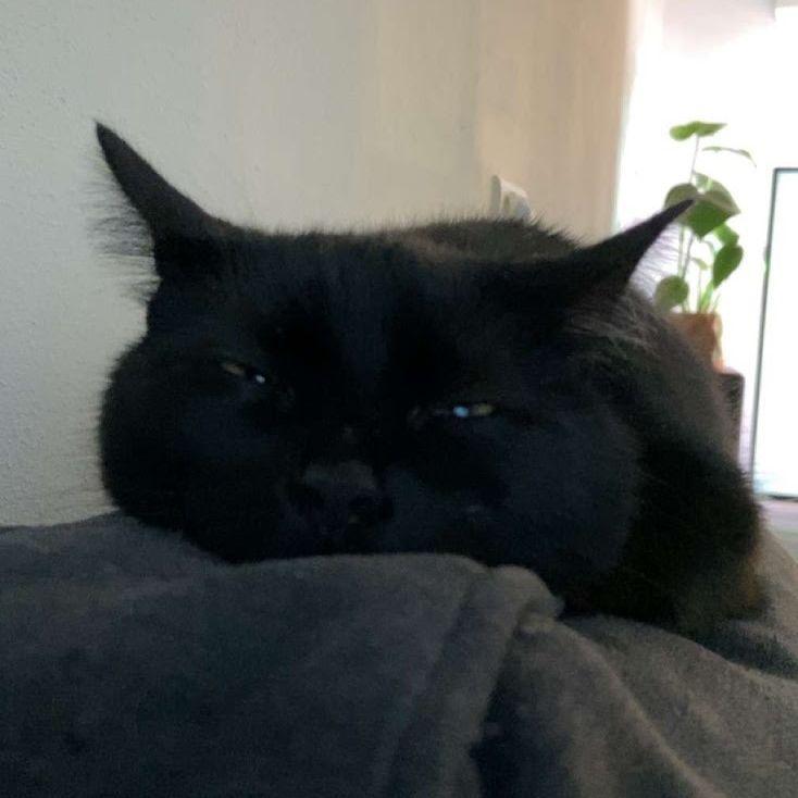 klqske avatar