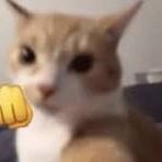 itsjulieggyt