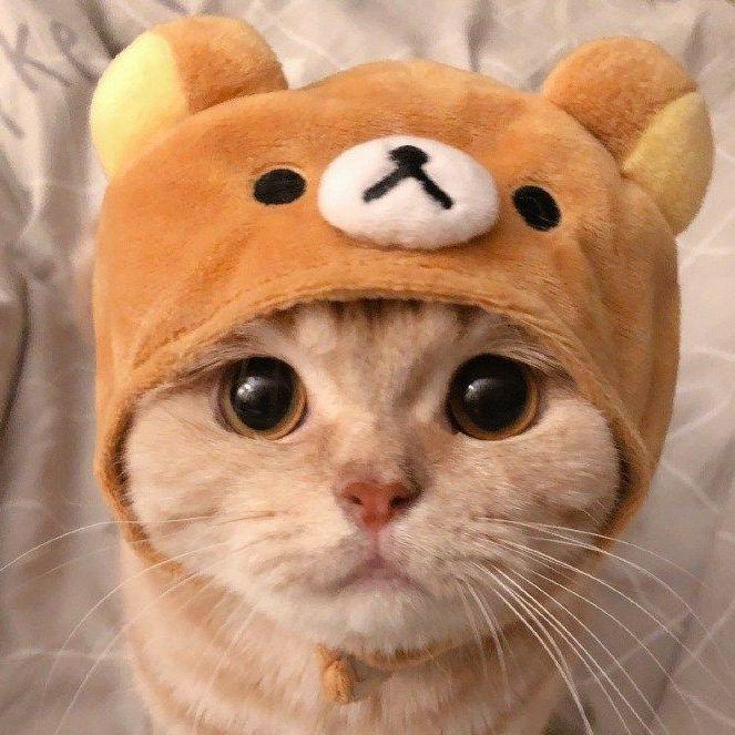 iroki avatar