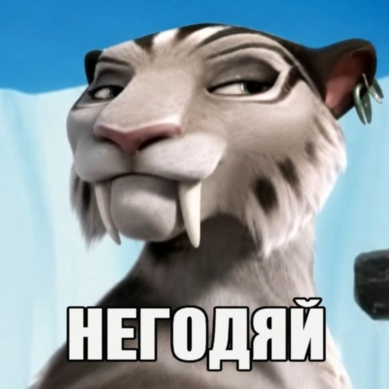 _osamasonfan