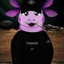 127347512851 avatar