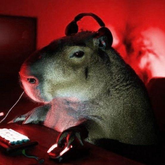 gus424