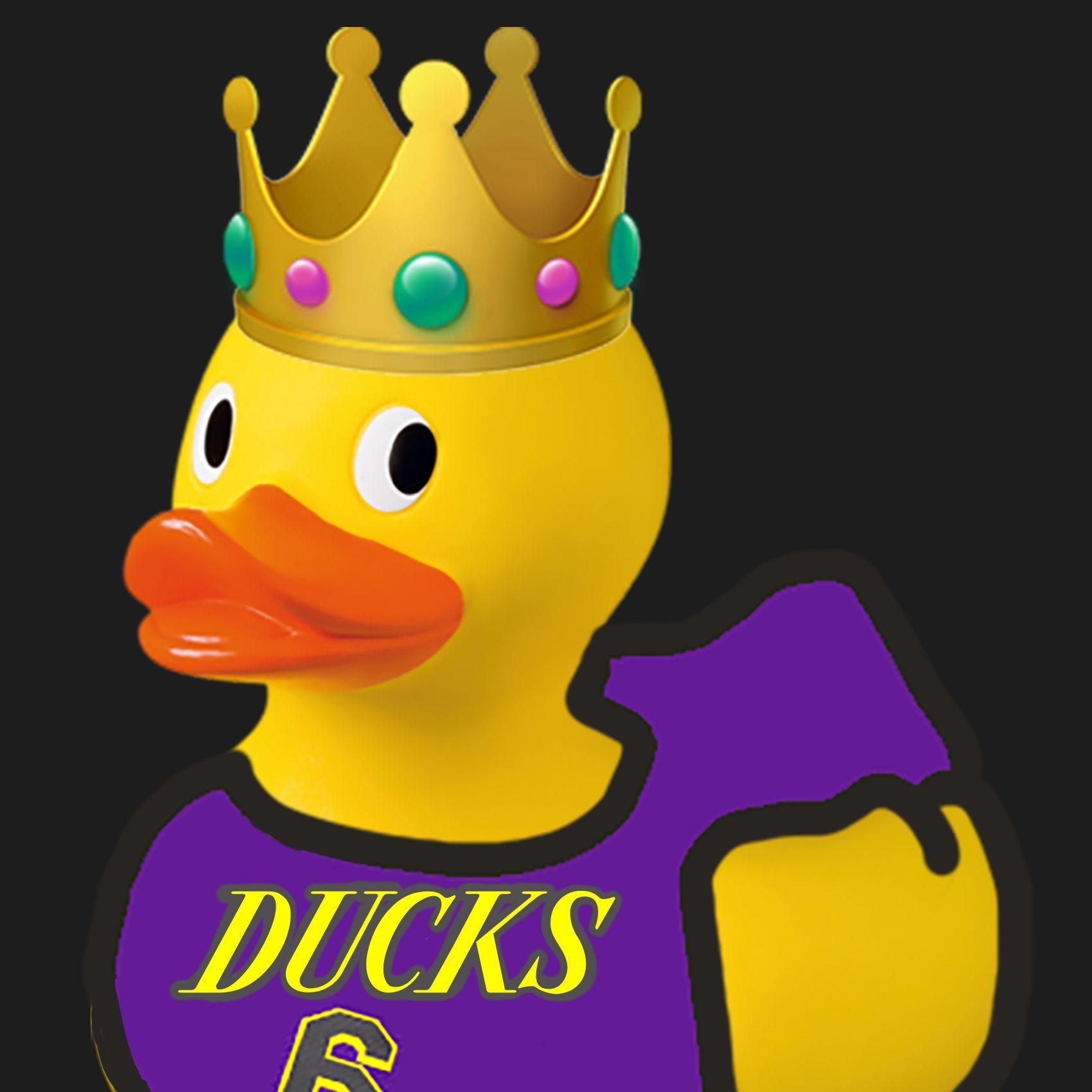 DhillDucks logo
