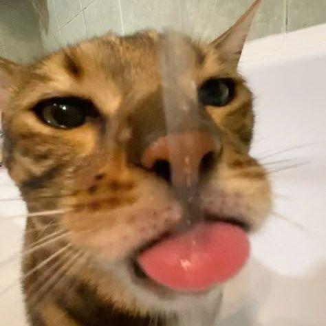 _n1kle_ avatar