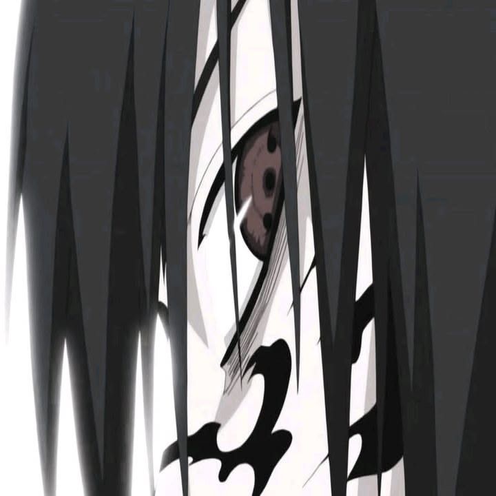 MusorDrop529 FACEIT avatar
