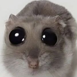 asalwaysbtw
