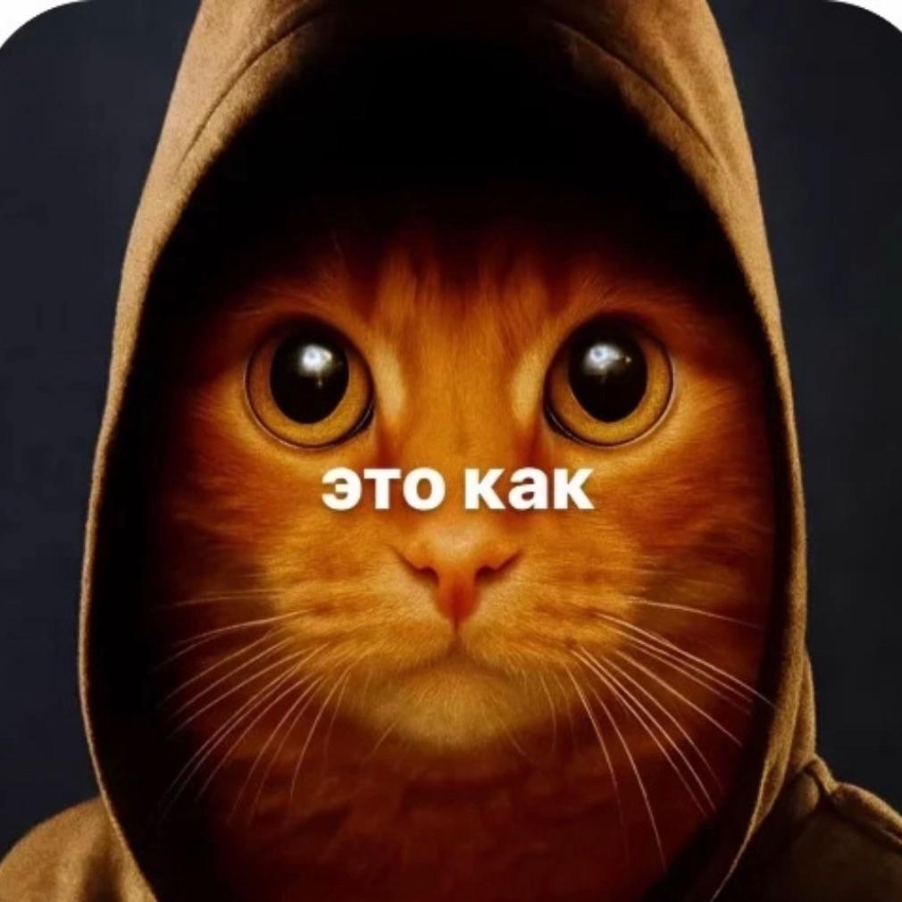 xE-nnZZ avatar